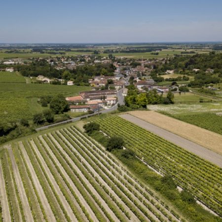 Wine Tourism
