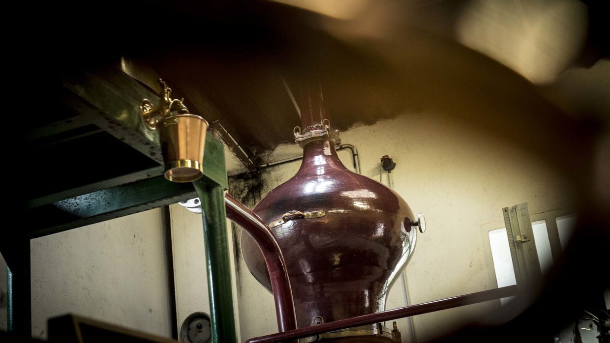 Cognac Distillation