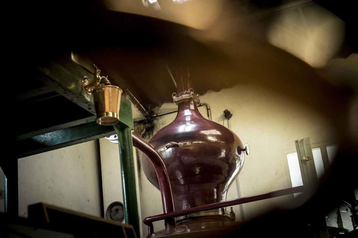 Cognac Distillation