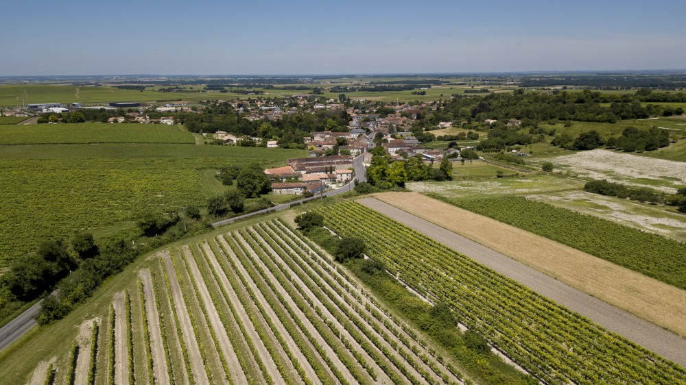 Wine Tourism