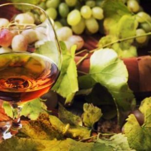 What grape varieties are used to make the Cognac eau-de-vie?